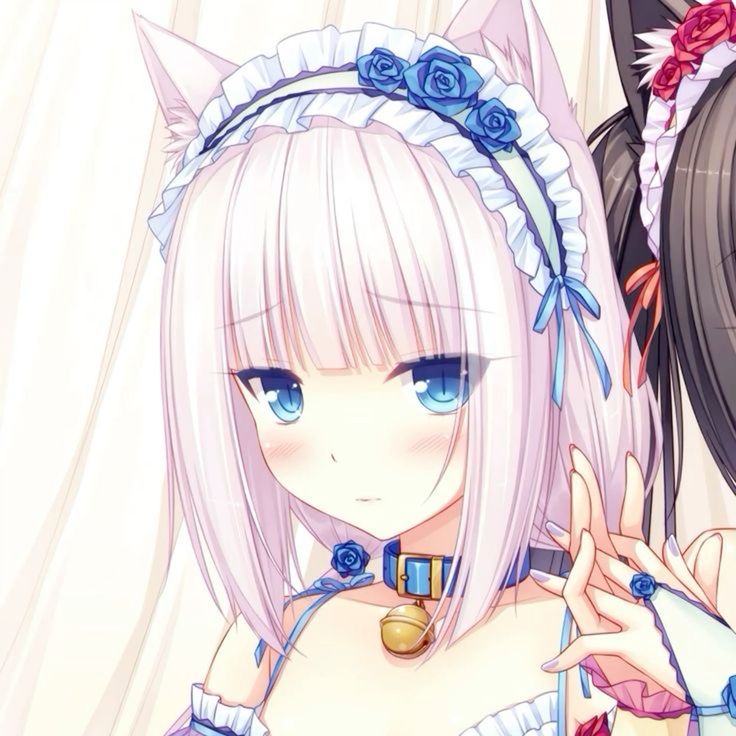 Vanilla from Nekopara with blue roses in her hair